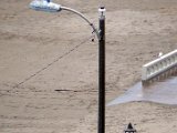 Rainy Seagull.jpg